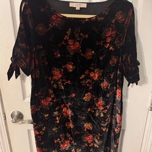 Ann Taylor Loft Velvet Dress